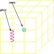 Quark and Gluon